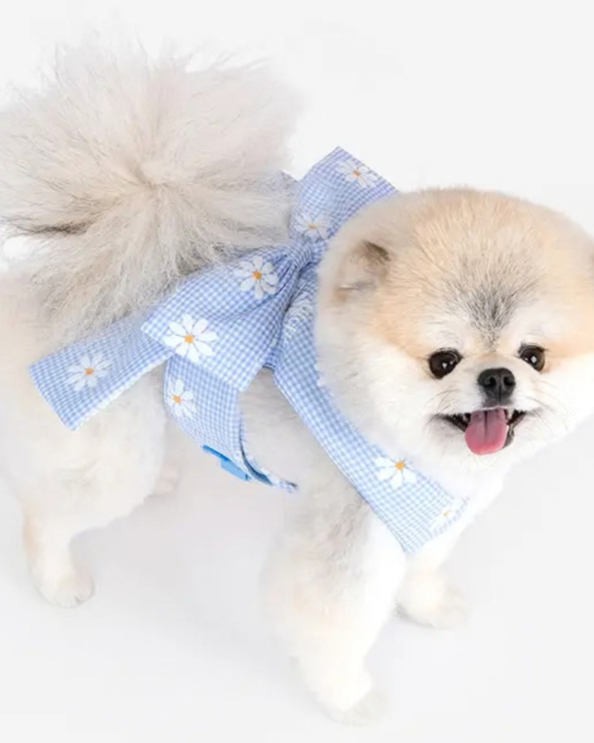 Kurdeleli Yelek Tipi Açık Mavi Köpek Göğüs Tasması Olchi Candy Ribbon Harness