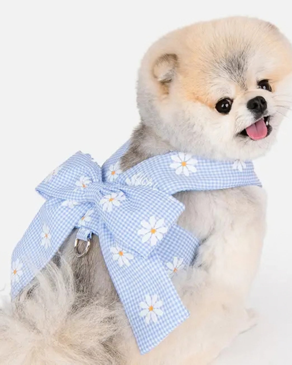 Kurdeleli Yelek Tipi Açık Mavi Köpek Göğüs Tasması Olchi Candy Ribbon Harness