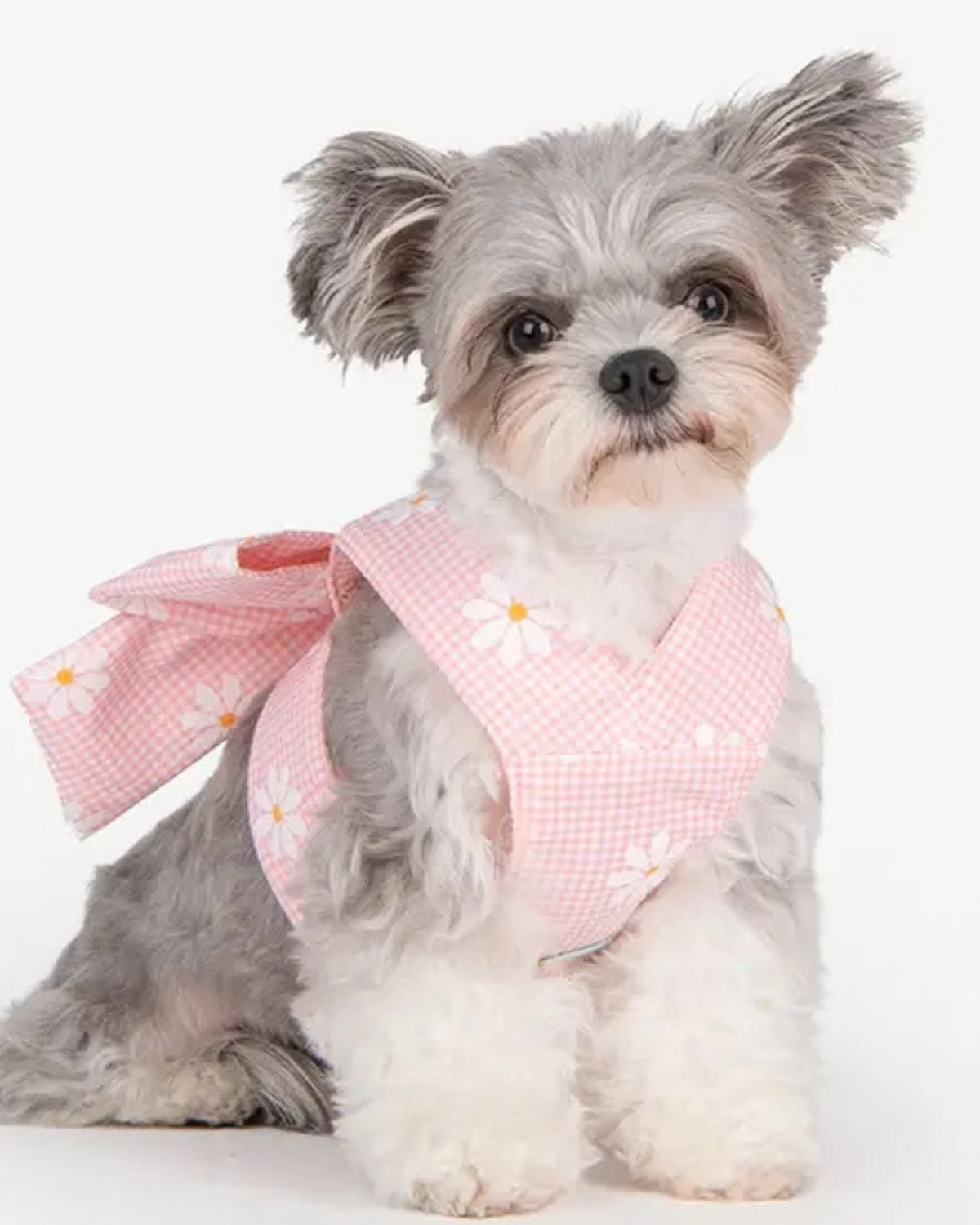 Kurdeleli Yelek Tipi Pembe Köpek Göğüs Tasması Olchi Candy Ribbon Harness