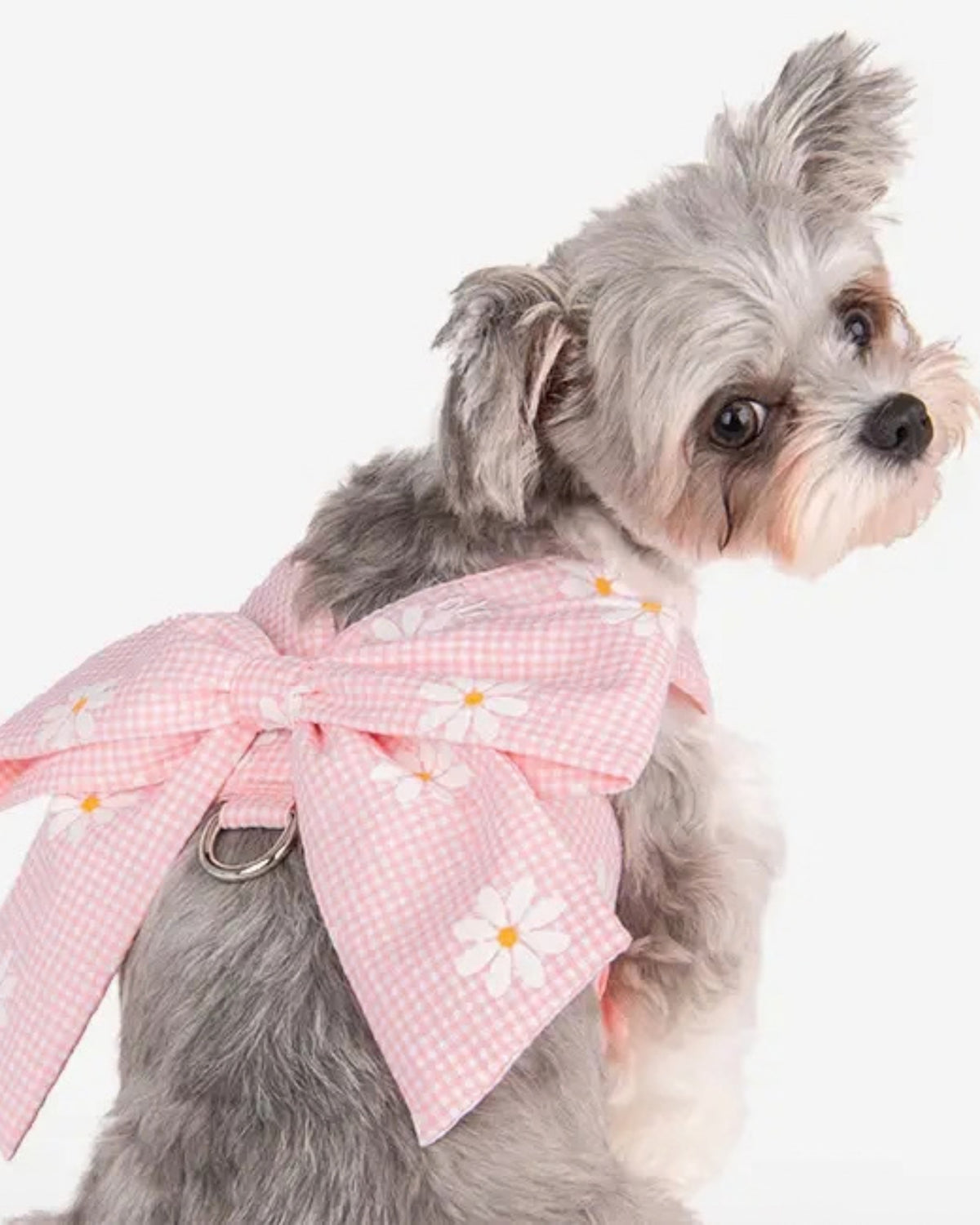 Kurdeleli Yelek Tipi Pembe Köpek Göğüs Tasması Olchi Candy Ribbon Harness