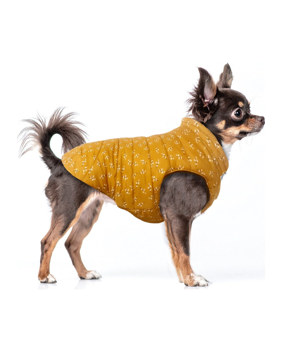 Çift Taraflı Şişme Köpek Montu Milk&Pepper Lily Reversible Down Jacket