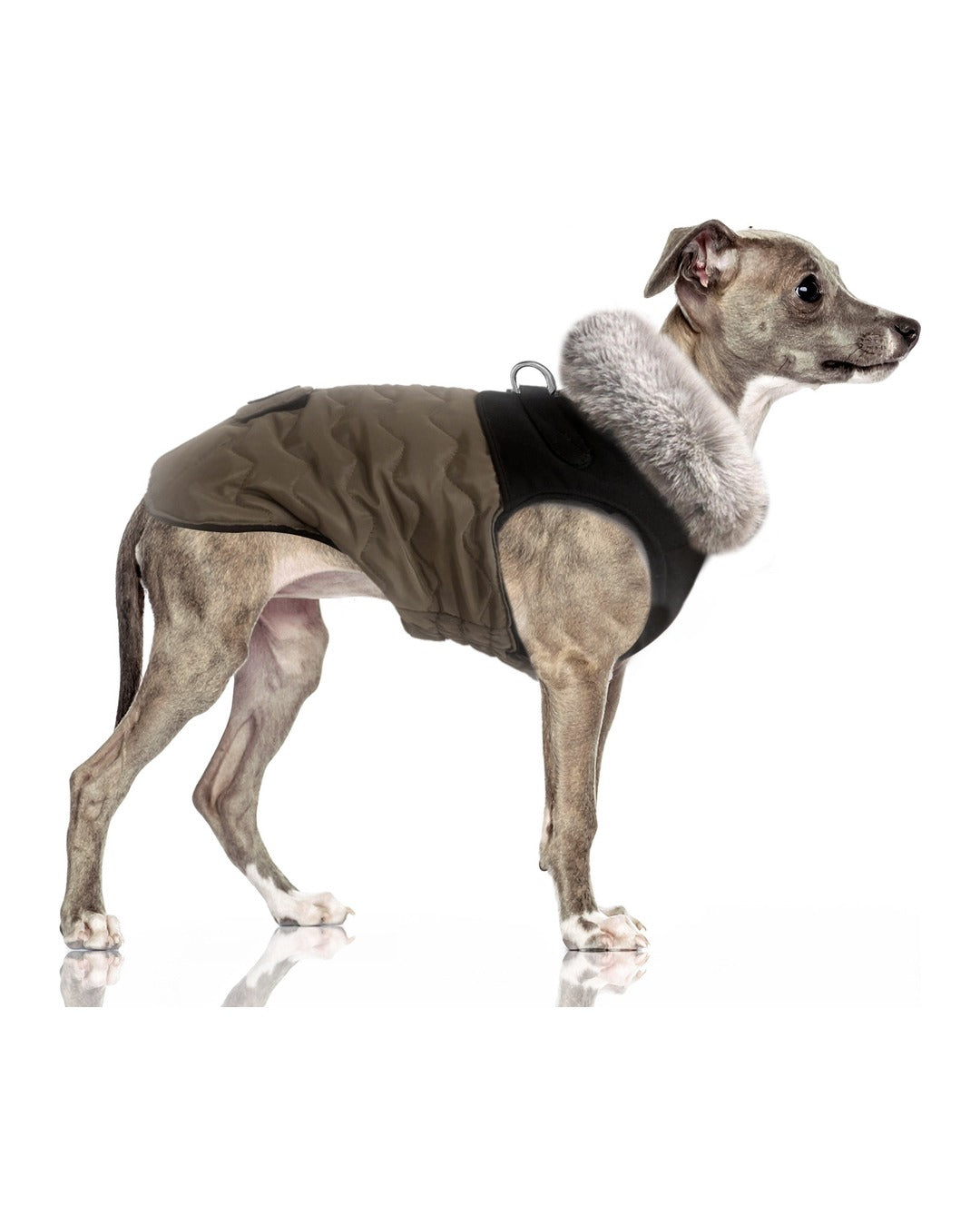 Göğüs Tasmalı Şişme Köpek Montu Milk&Pepper Auguste Harness Down Jacket Kahverengi