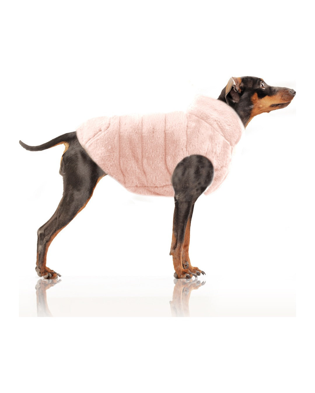 Çift Taraflı Şişme Köpek Montu Milk&Pepper Louise Reversible Puff Jacket