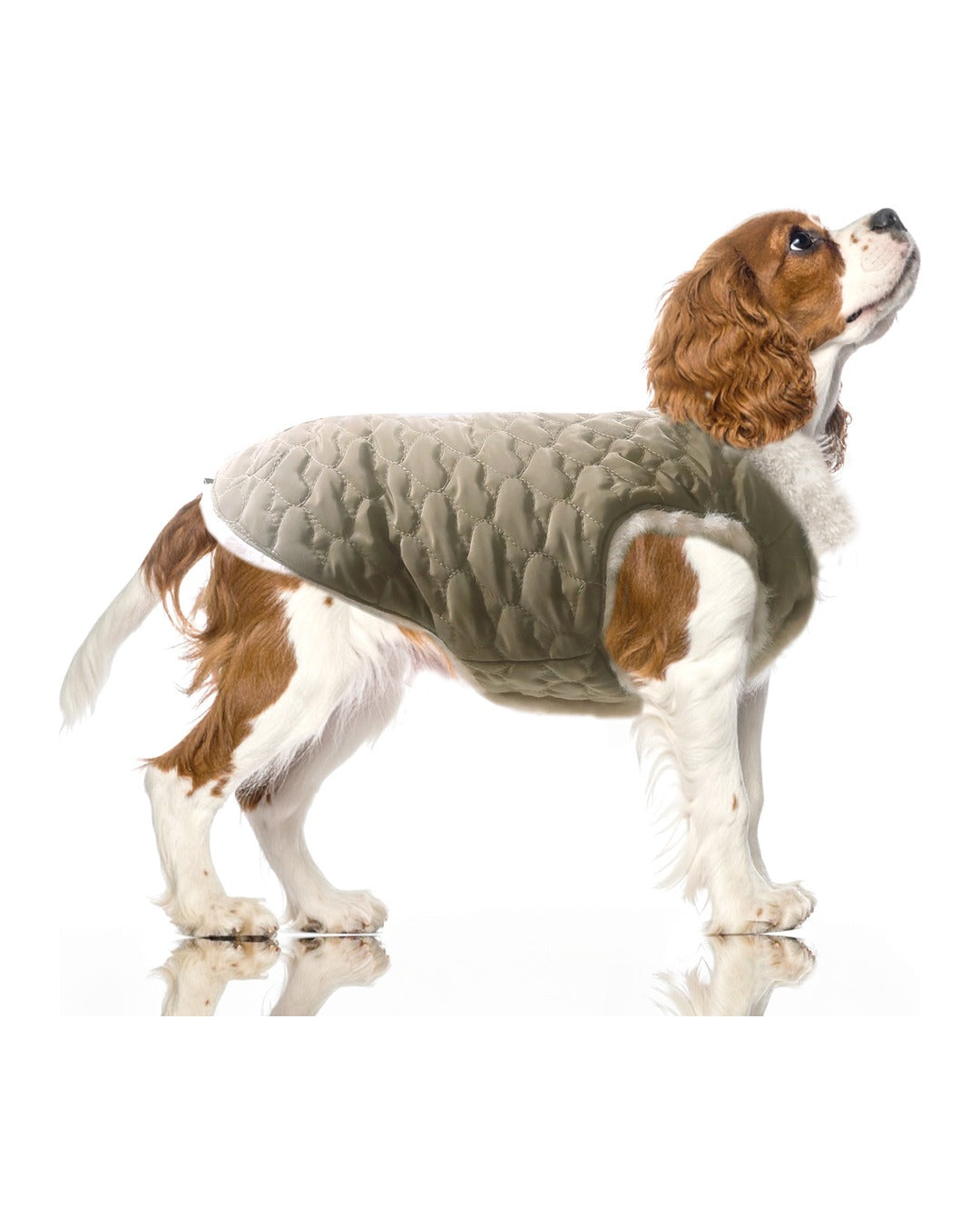 Çift Taraflı Kapitone Köpek Montu Milk&Pepper Candice Reversible Down Jacket Haki
