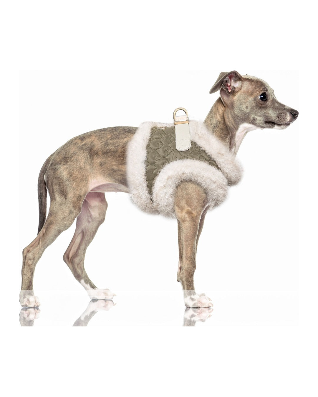 Suni Kürk Astarlı Kapitone Köpek Göğüs Tasması Milk&Pepper Clarice Harness Haki