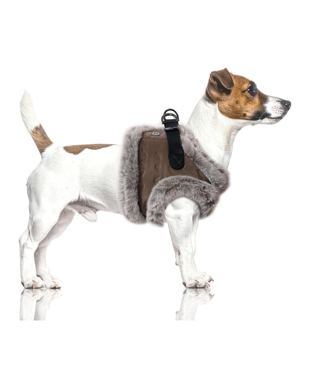 Suni Kürk Astarlı Kapitone Köpek Göğüs Tasması Milk&Pepper Louis Harness Kahverengi
