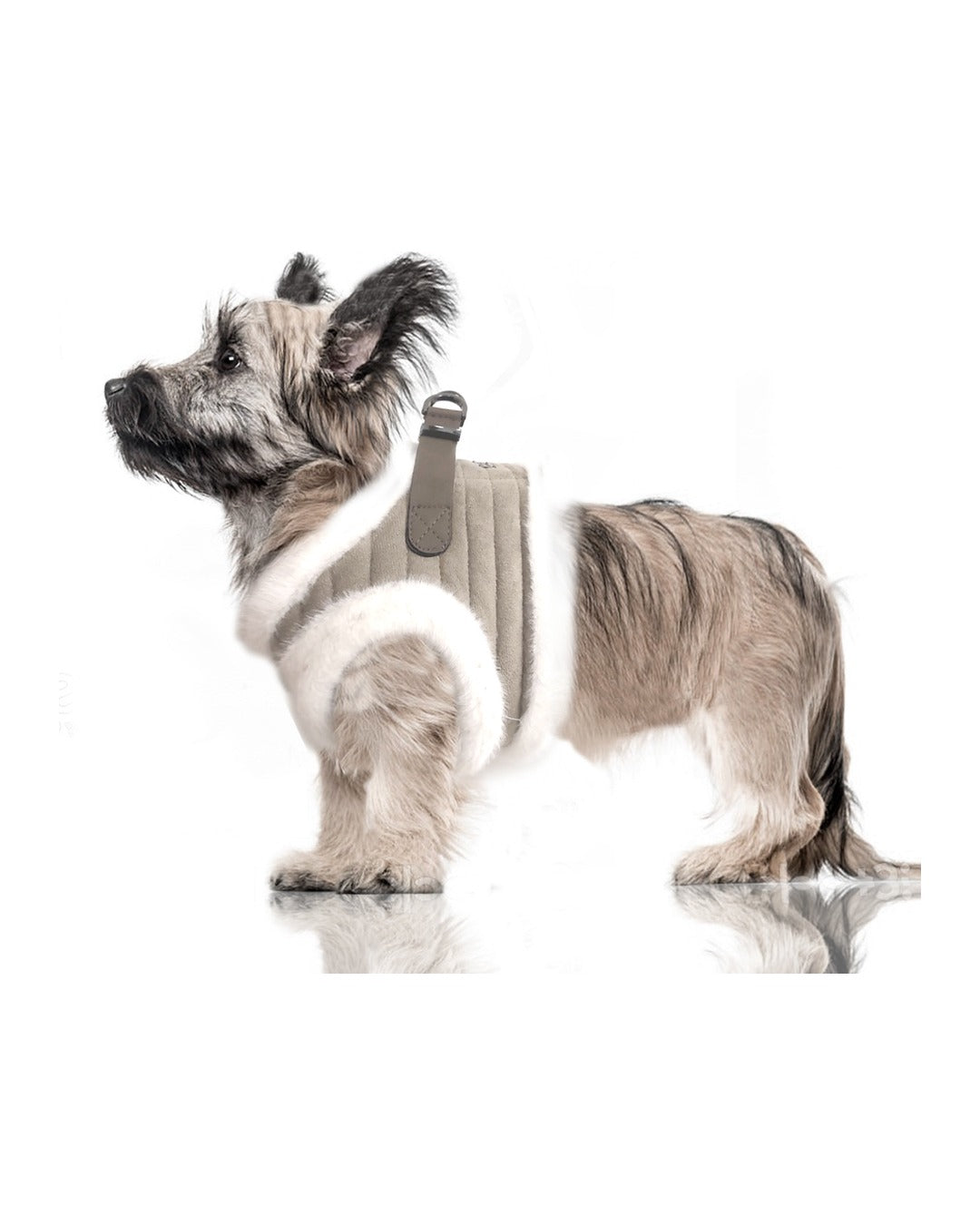 Süet Görünümlü Peluş Astarlı Köpek Göğüs Tasması Milk&Pepper Kaspar Harness Bej