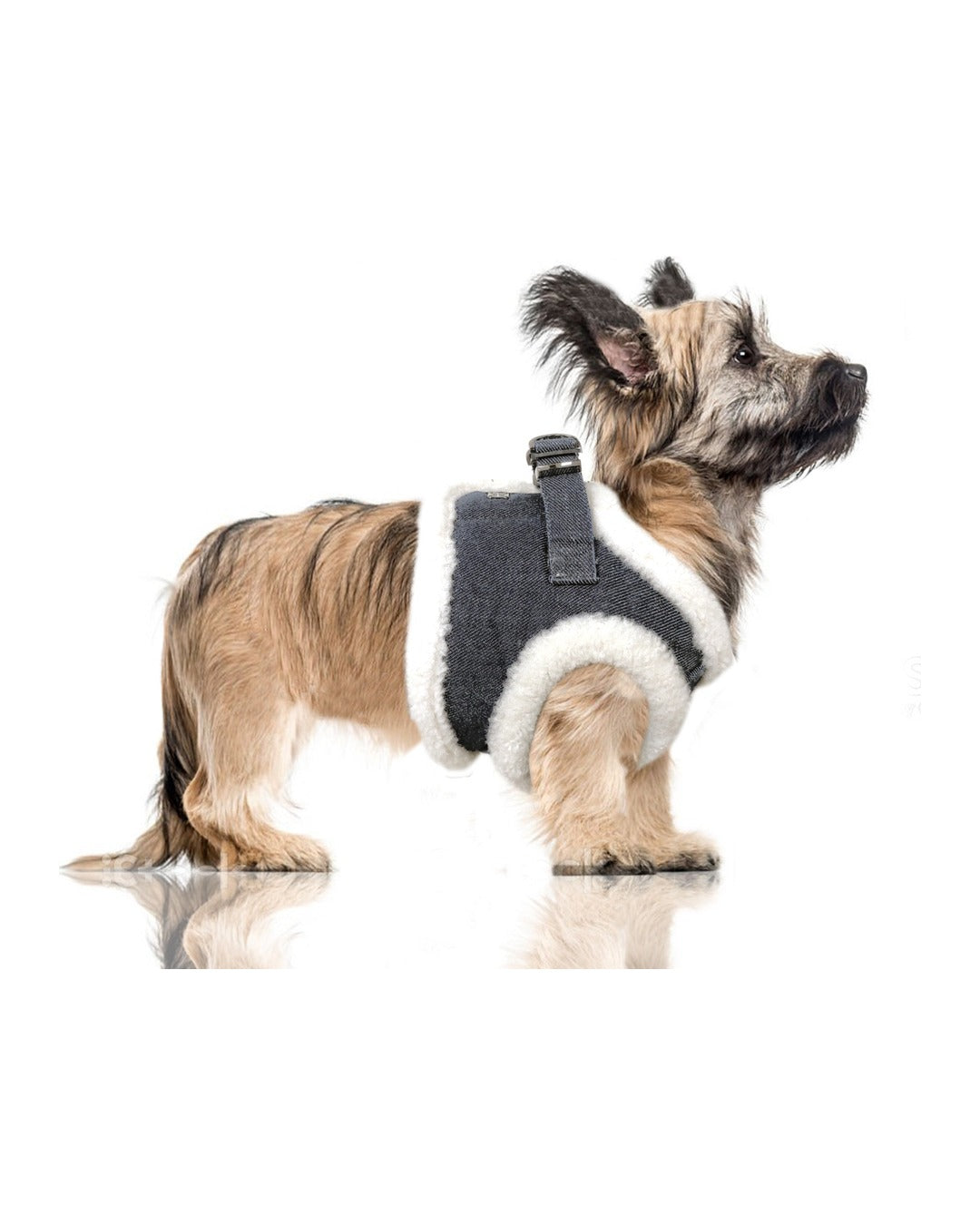 Denim Kürk Astarlı Köpek Göğüs Tasması Milk&Pepper Tyler Harness