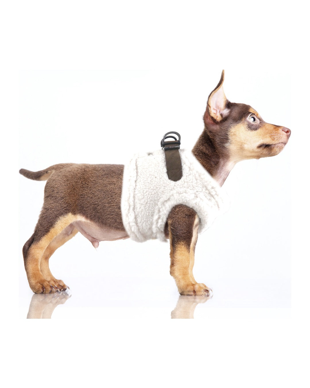 Kuzu Postu Görünümlü Köpek Göğüs Tasması Milk&Pepper Joonas Harness Beyaz