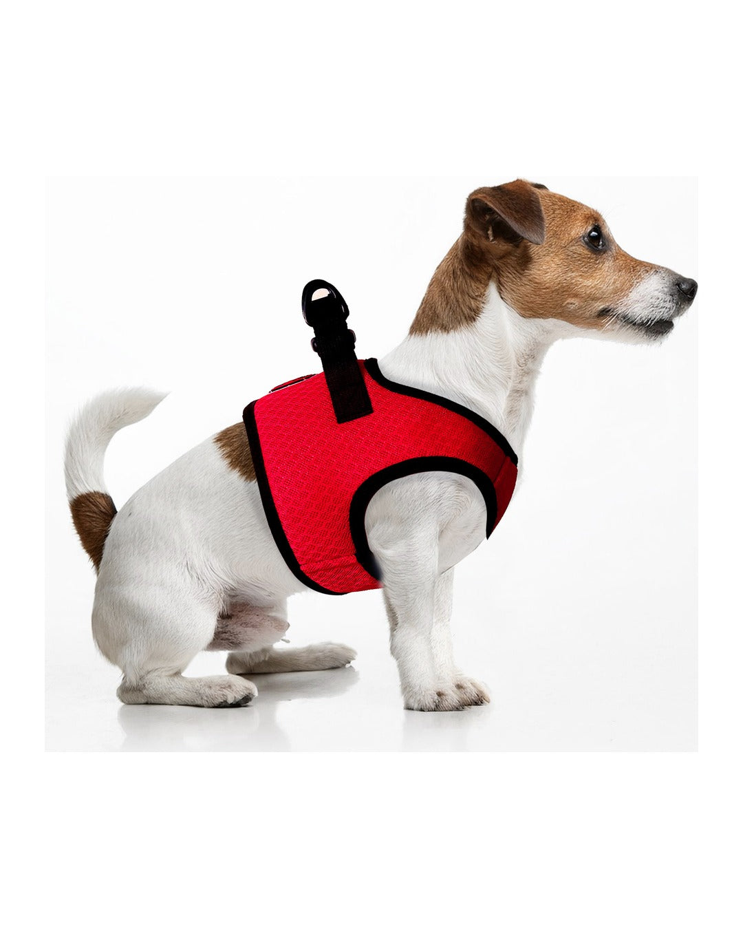 Serinletici Yelek Köpek Göğüs Tasması Milk&Pepper Fresh Cooler Harness Kırmızı