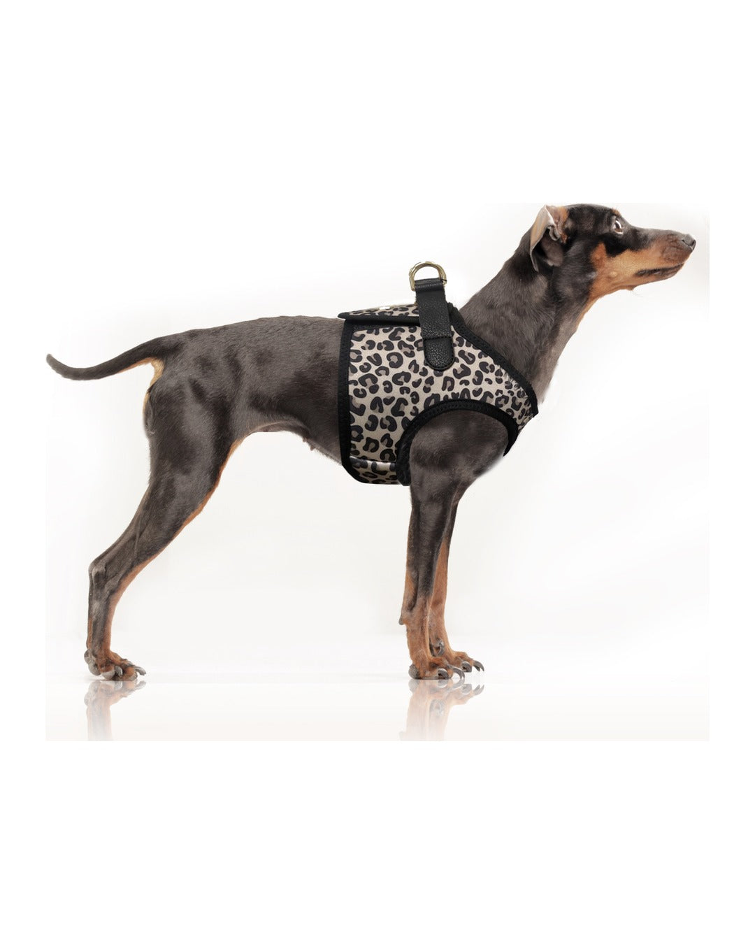 Ceket Tipi Köpek Göğüs Tasması Milk&Pepper Zendaya Harness Leopar
