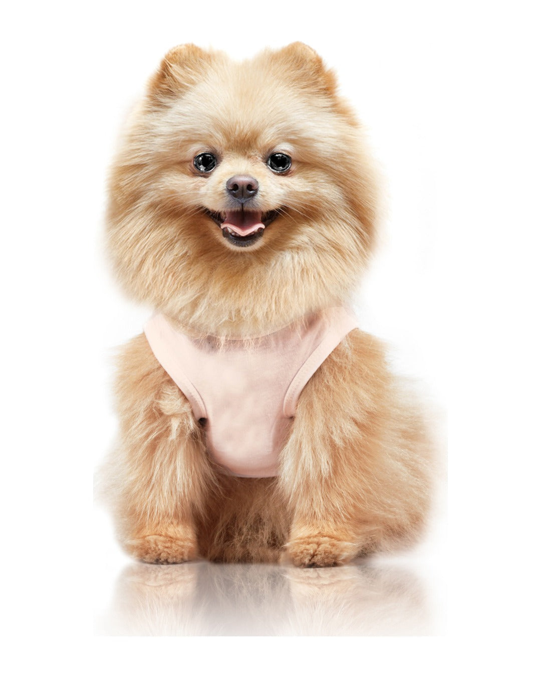 Be Happy İşlemeli Köpek Tişörtü Milk&Pepper Azumi T-shirt Pembe
