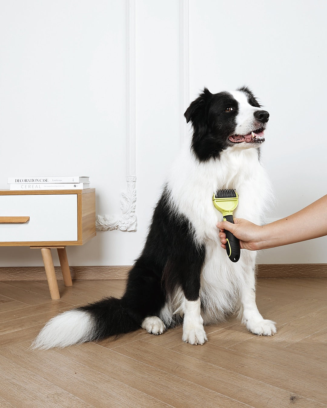 Click & Groom Değiştirilebilir Başlıklı Çift Taraflı Keçe Açıcı Tarak Kedi ve Köpek M-Pets Click and Groom Dematting Comb