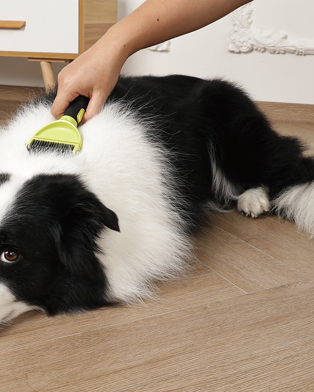 Click & Groom Değiştirilebilir Başlıklı Çift Taraflı Keçe Açıcı Tarak Kedi ve Köpek M-Pets Click and Groom Dematting Comb