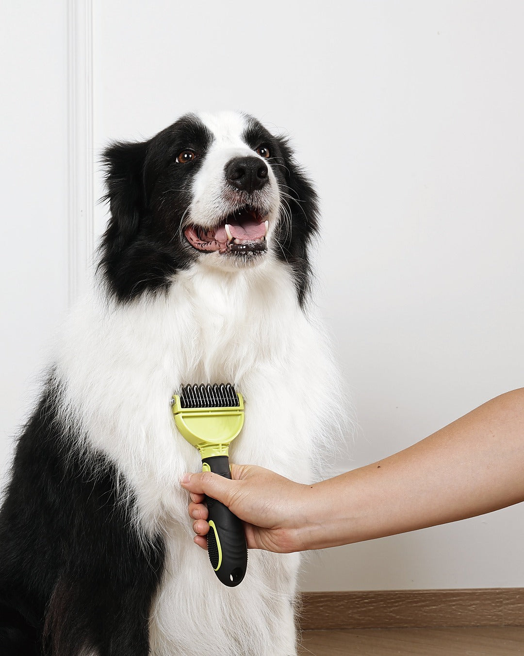 Click & Groom Değiştirilebilir Başlıklı Çift Taraflı Keçe Açıcı Tarak Kedi ve Köpek M-Pets Click and Groom Dematting Comb
