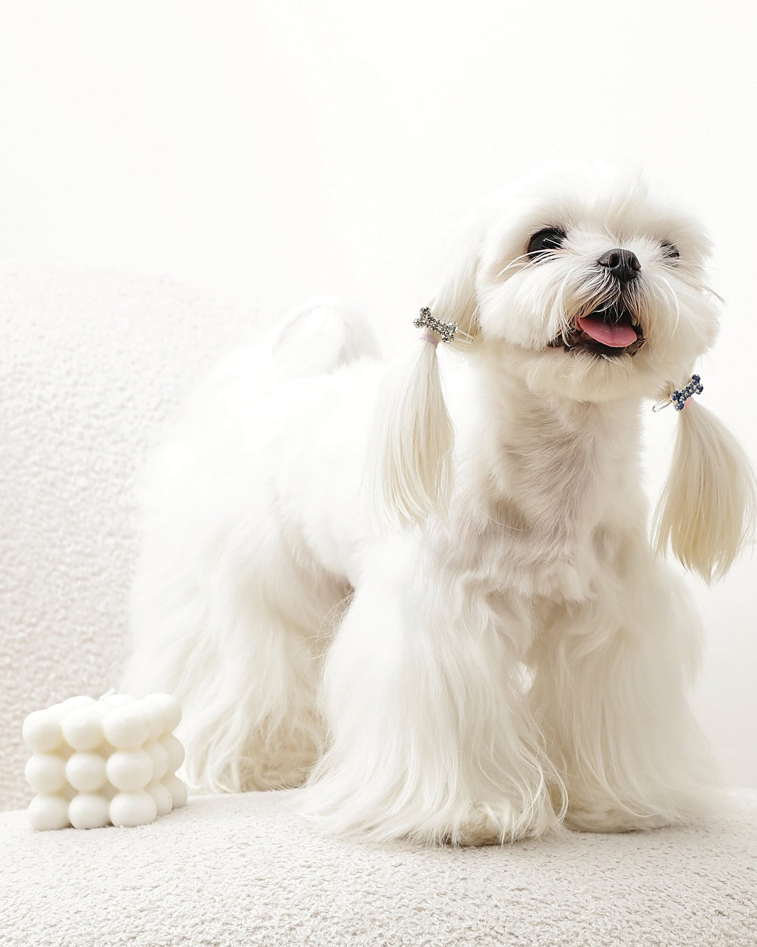 Taşlı Kemik Tüy Tokası 2'li Mavi Beyaz Kedi ve Küçük Köpek M-Pets GLAM Bone Clip