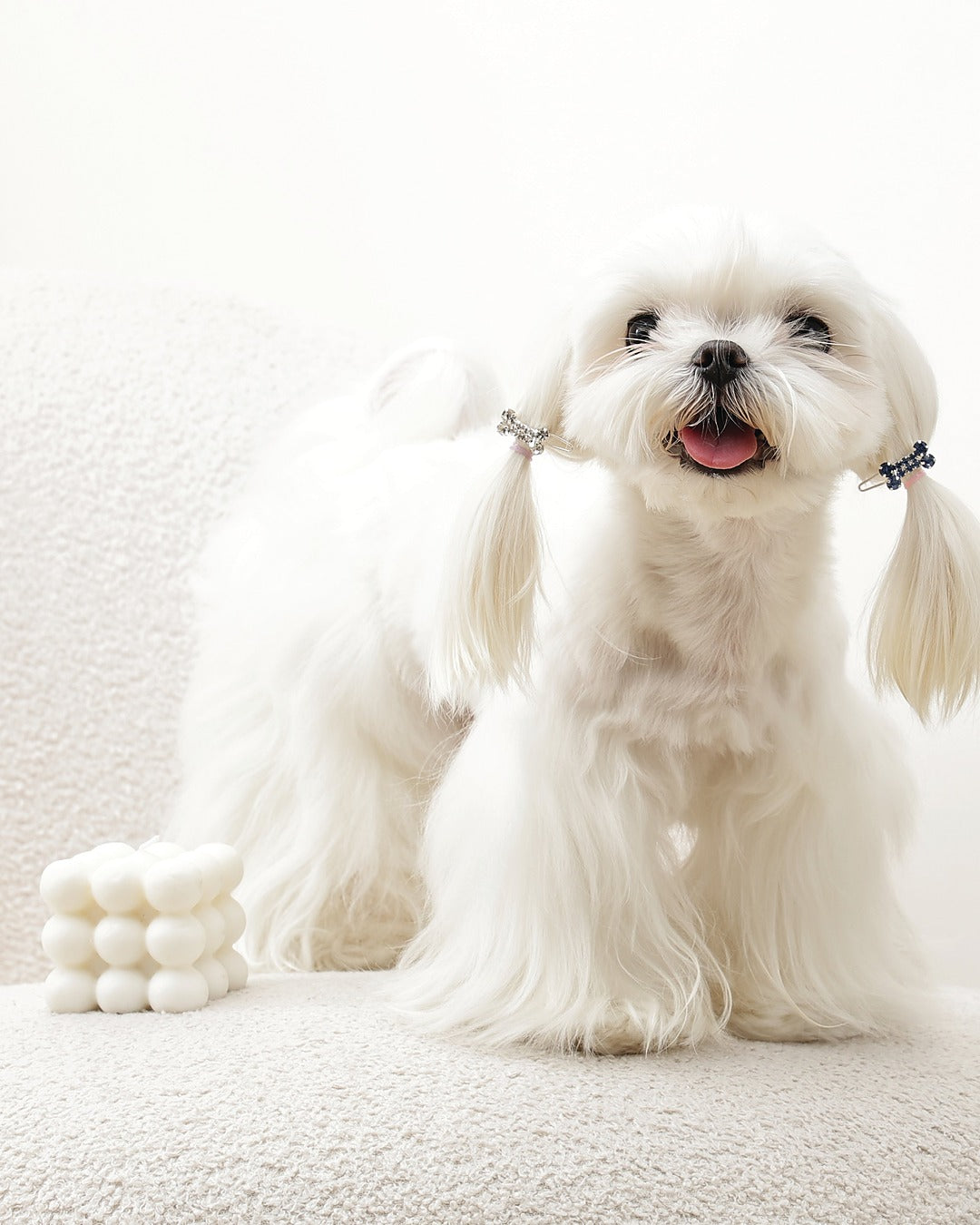 Taşlı Kemik Tüy Tokası 2'li Mavi Beyaz Kedi ve Küçük Köpek M-Pets GLAM Bone Clip