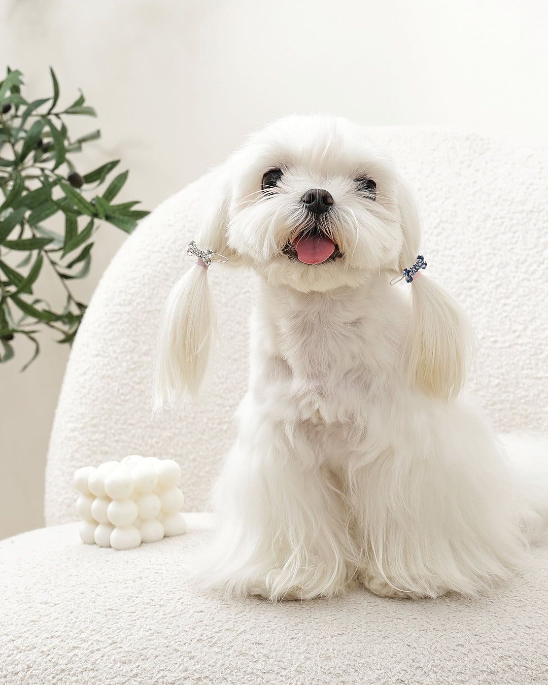 Taşlı Kemik Tüy Tokası 2'li Mavi Beyaz Kedi ve Küçük Köpek M-Pets GLAM Bone Clip