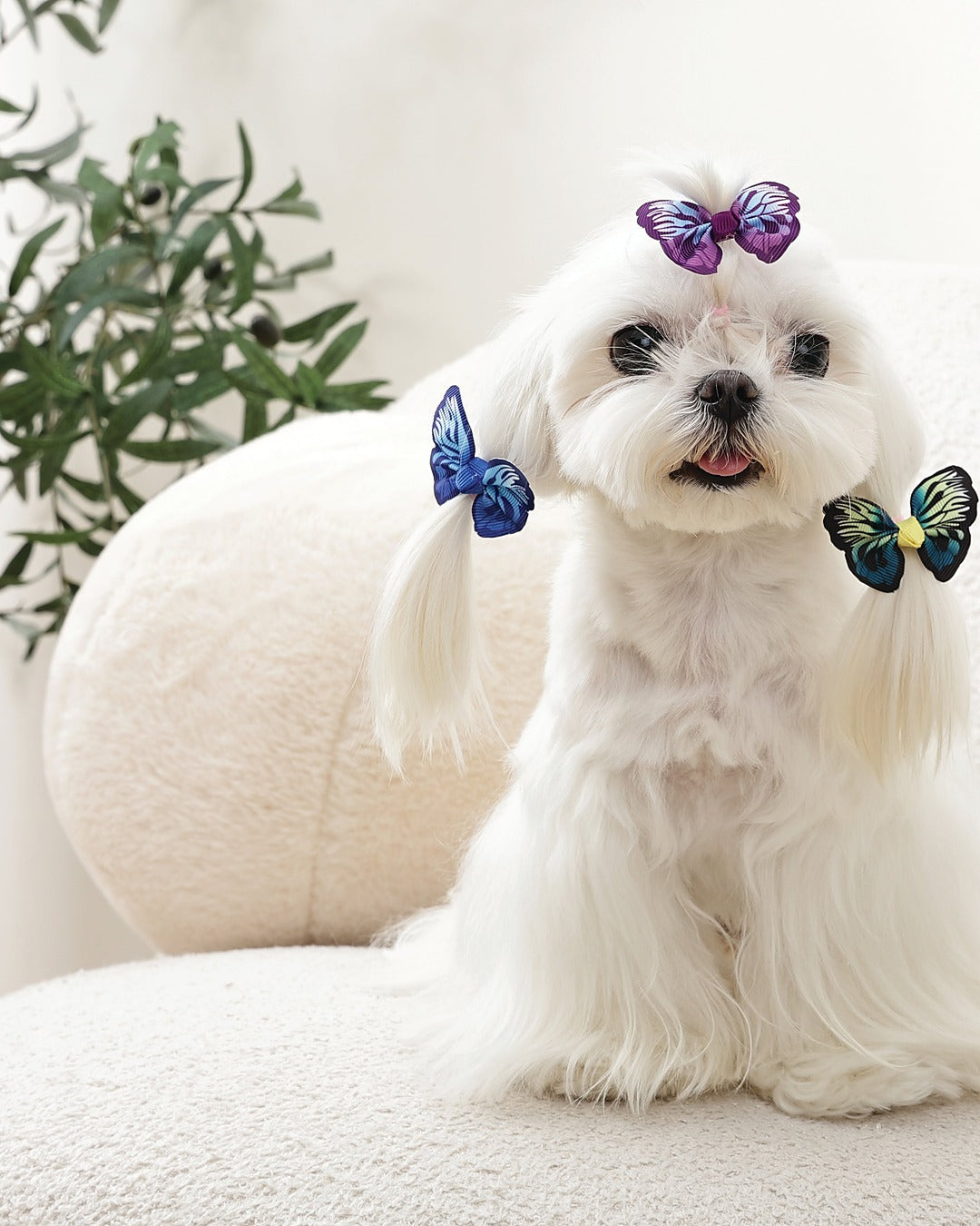 Kelebek Tüy Lastiği 3'lü Mavi Mor Yeşil Kedi ve Küçük Köpek M-Pets GLAM Rubber Band