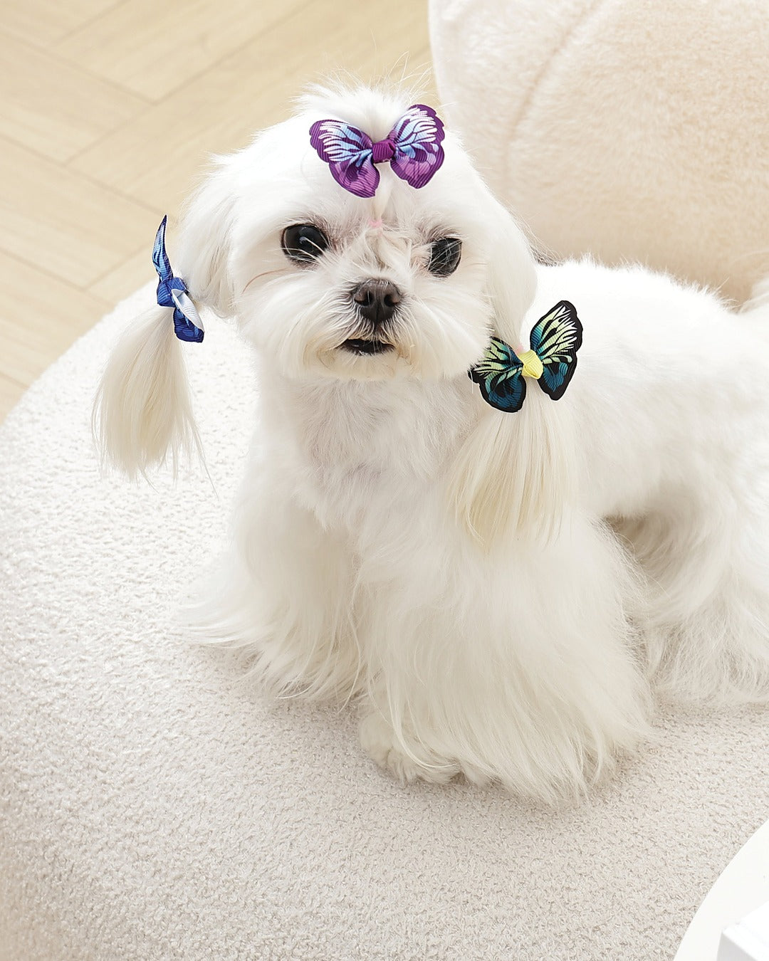 Kelebek Tüy Lastiği 3'lü Mavi Mor Yeşil Kedi ve Küçük Köpek M-Pets GLAM Rubber Band
