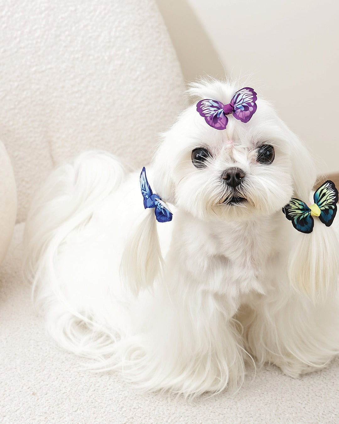 Kelebek Tüy Lastiği 3'lü Mavi Mor Yeşil Kedi ve Küçük Köpek M-Pets GLAM Rubber Band