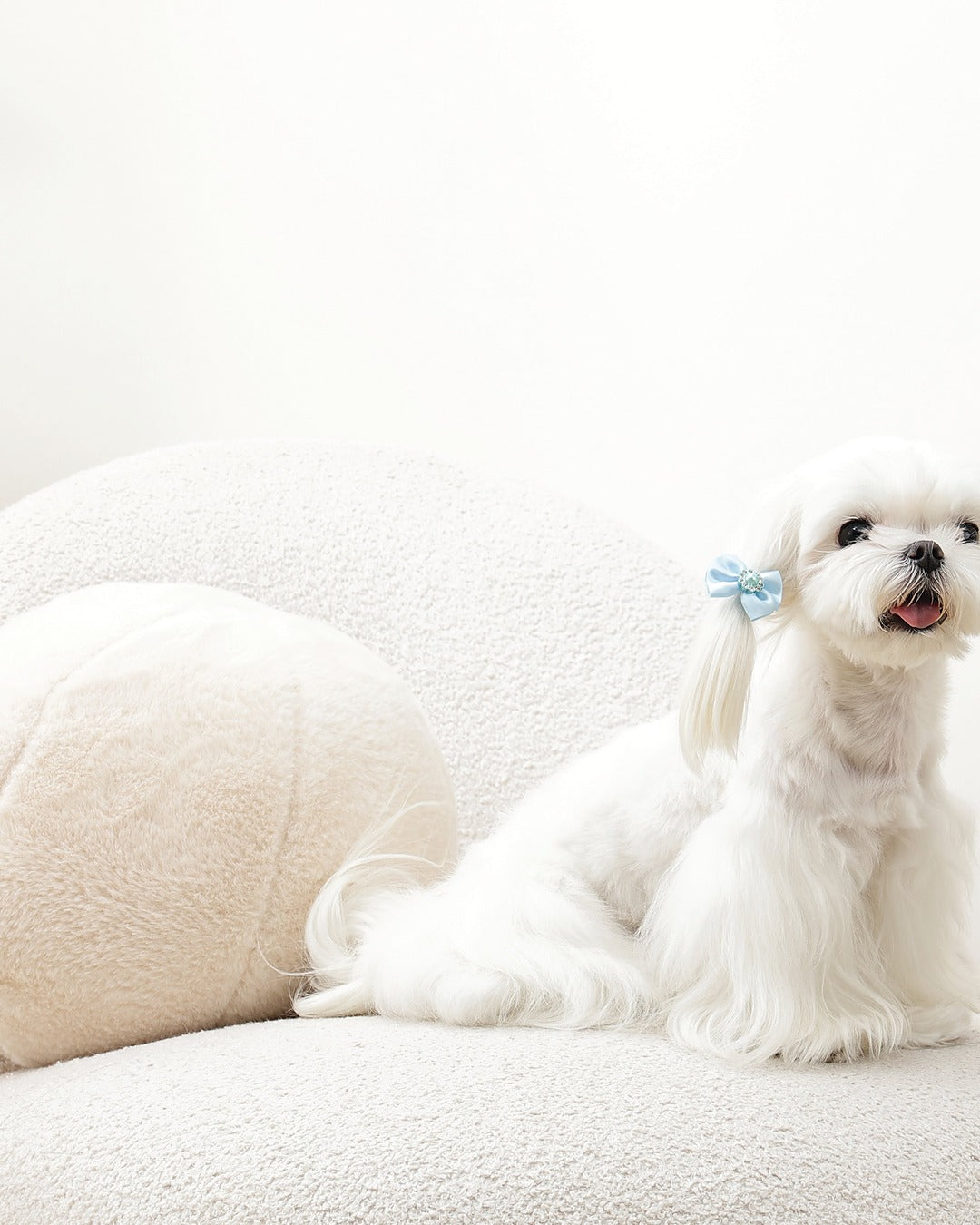 İncili Fiyonk Tüy Lastiği 2'li Mavi Kedi ve Küçük Köpek M-Pets GLAM Rubber Band with Pearl