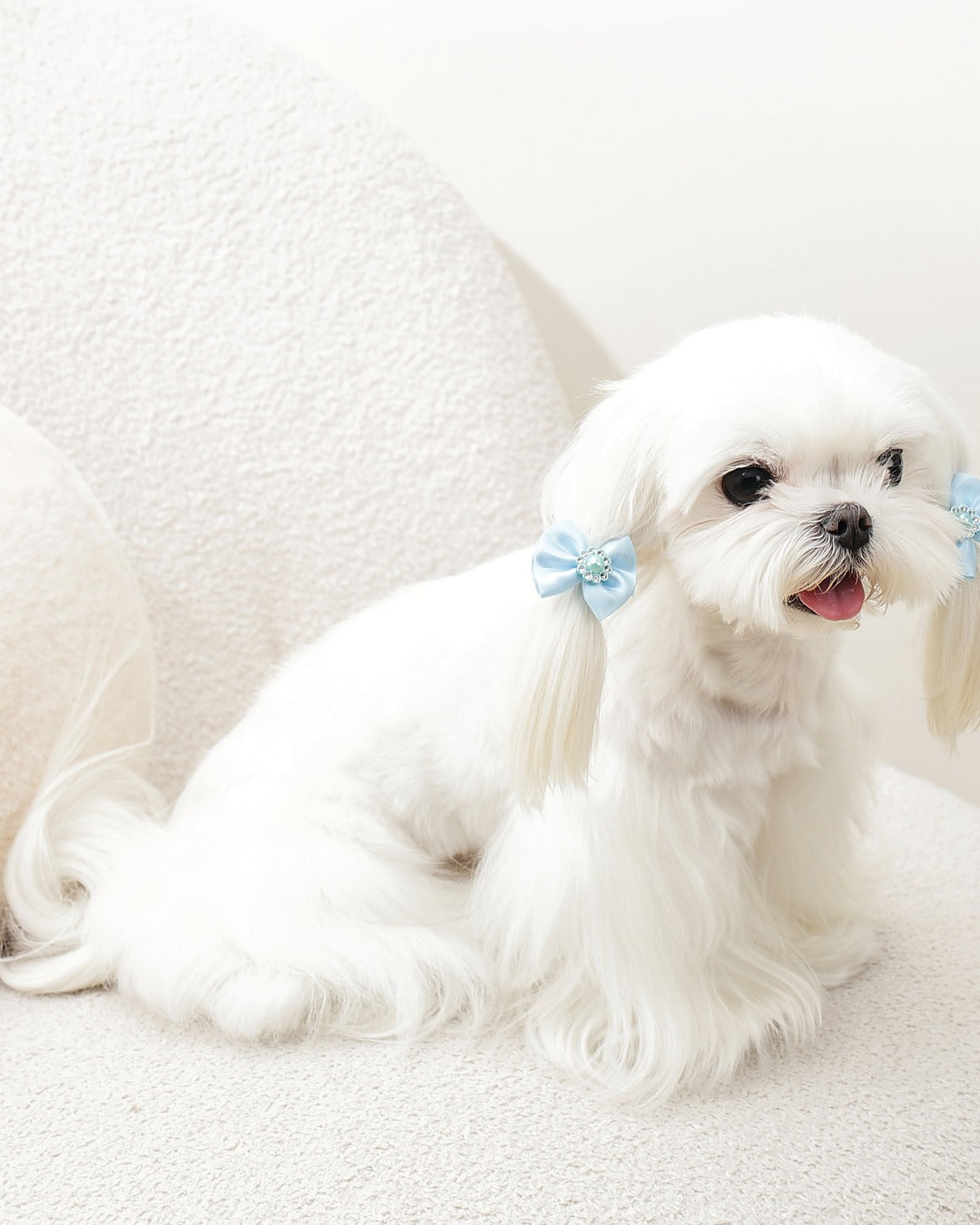 İncili Fiyonk Tüy Lastiği 2'li Mavi Kedi ve Küçük Köpek M-Pets GLAM Rubber Band with Pearl