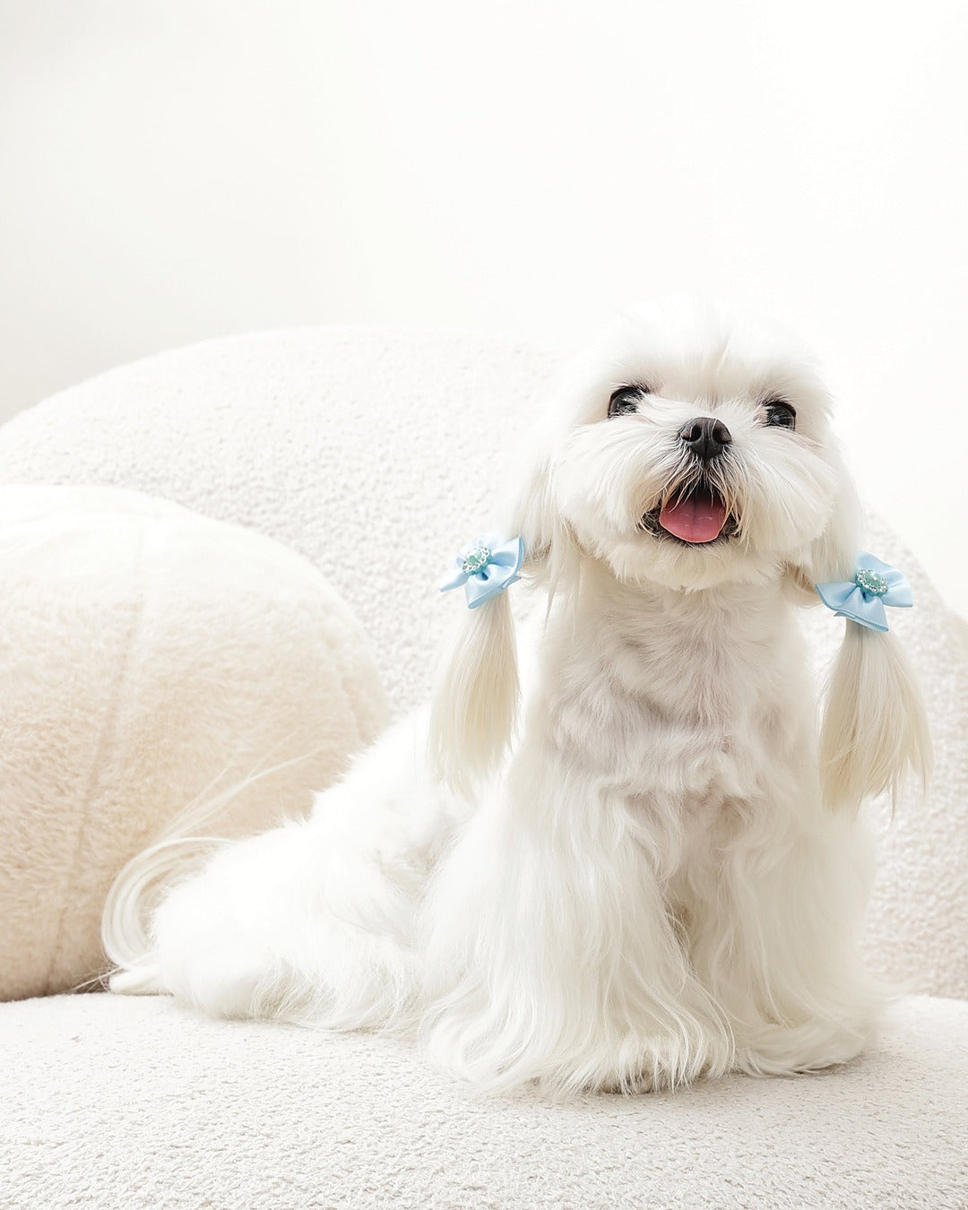 İncili Fiyonk Tüy Lastiği 2'li Mavi Kedi ve Küçük Köpek M-Pets GLAM Rubber Band with Pearl