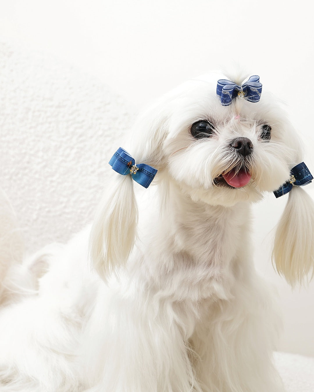 Desenli Fiyonk Tüy Lastiği 3'lü Mavi Kedi ve Küçük Köpek M-Pets GLAM Rubber Band Blue