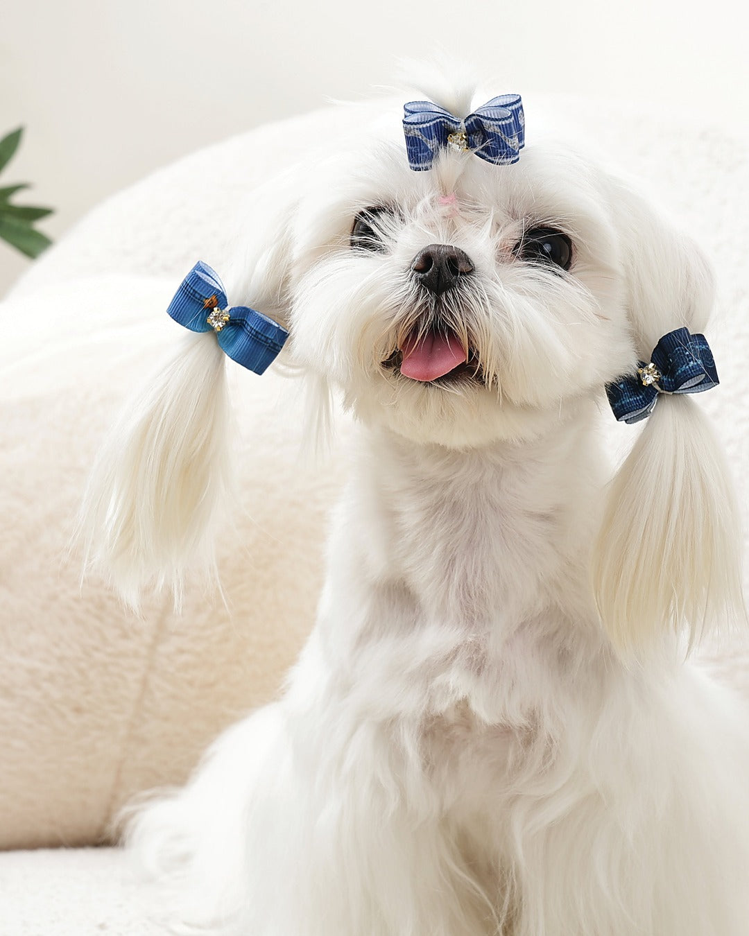 Desenli Fiyonk Tüy Lastiği 3'lü Mavi Kedi ve Küçük Köpek M-Pets GLAM Rubber Band Blue