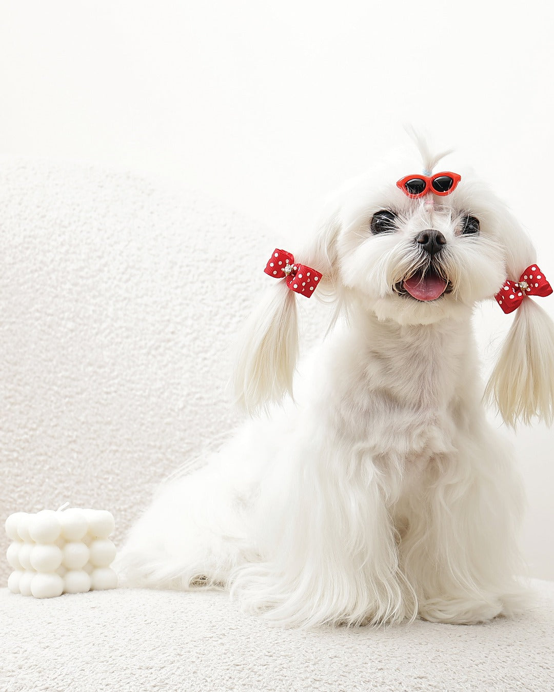 Güneş Gözlüğü Toka ve Taşlı Fiyonk Lastik Seti Kırmızı Puantiyeli Kedi ve Küçük Köpek M-Pets GLAM Clip & Rubber Band