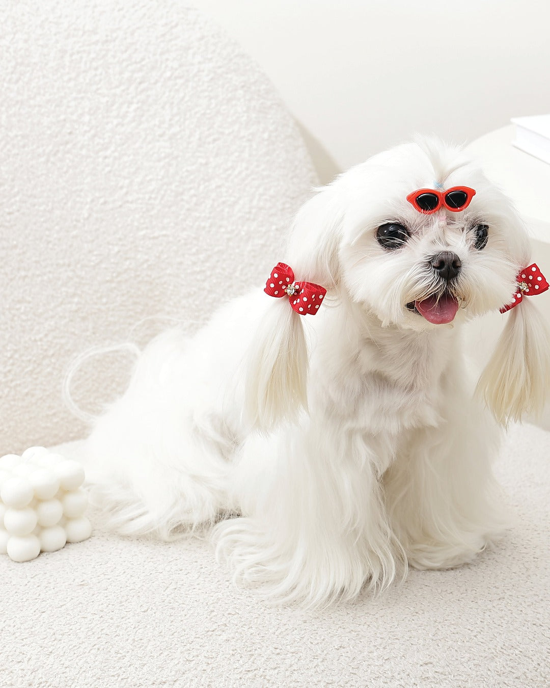Güneş Gözlüğü Toka ve Taşlı Fiyonk Lastik Seti Kırmızı Puantiyeli Kedi ve Küçük Köpek M-Pets GLAM Clip & Rubber Band