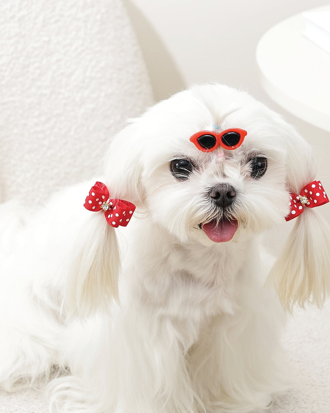 Güneş Gözlüğü Toka ve Taşlı Fiyonk Lastik Seti Kırmızı Puantiyeli Kedi ve Küçük Köpek M-Pets GLAM Clip & Rubber Band