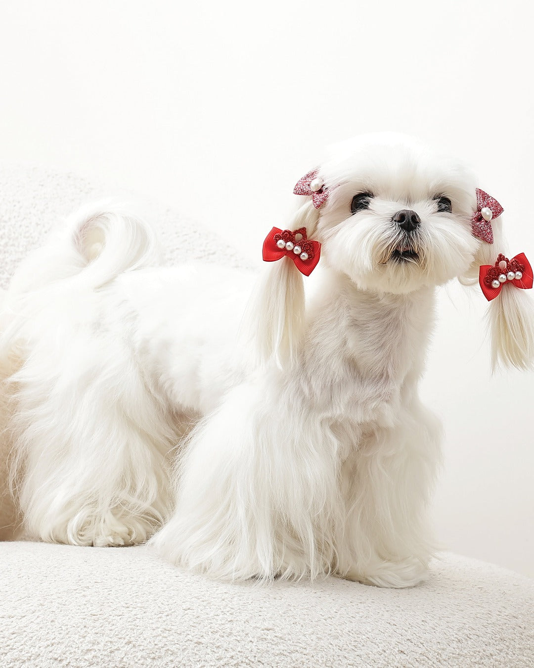 Taç ve Simli Fiyonk Tüy Lastiği 4'lü Kırmızı Kedi ve Küçük Köpek M-Pets GLAM Rubber Band Red