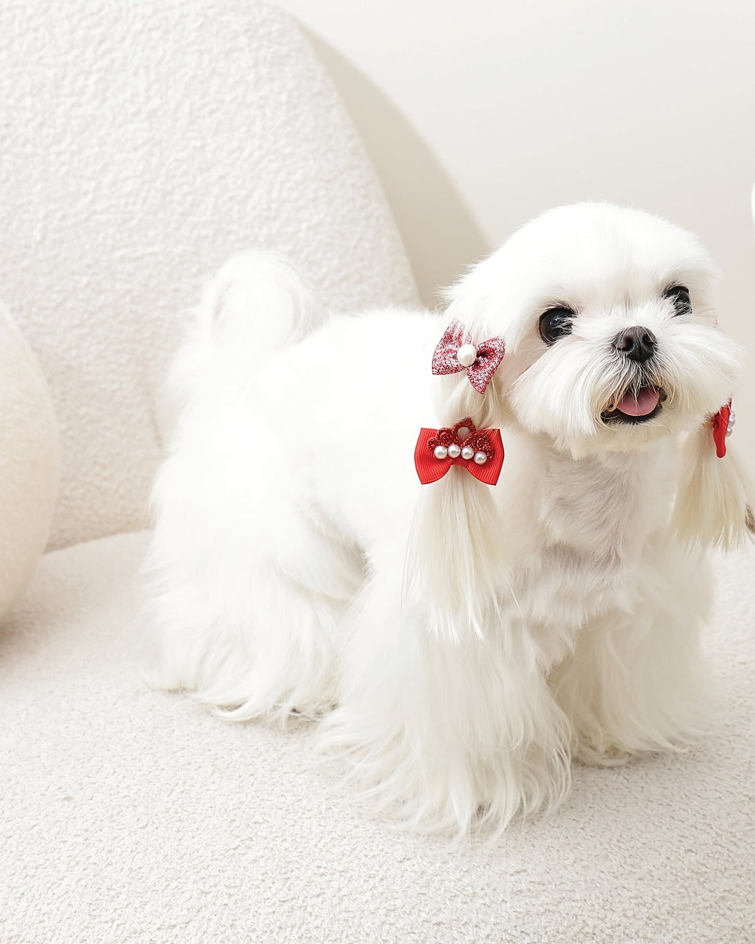 Taç ve Simli Fiyonk Tüy Lastiği 4'lü Kırmızı Kedi ve Küçük Köpek M-Pets GLAM Rubber Band Red