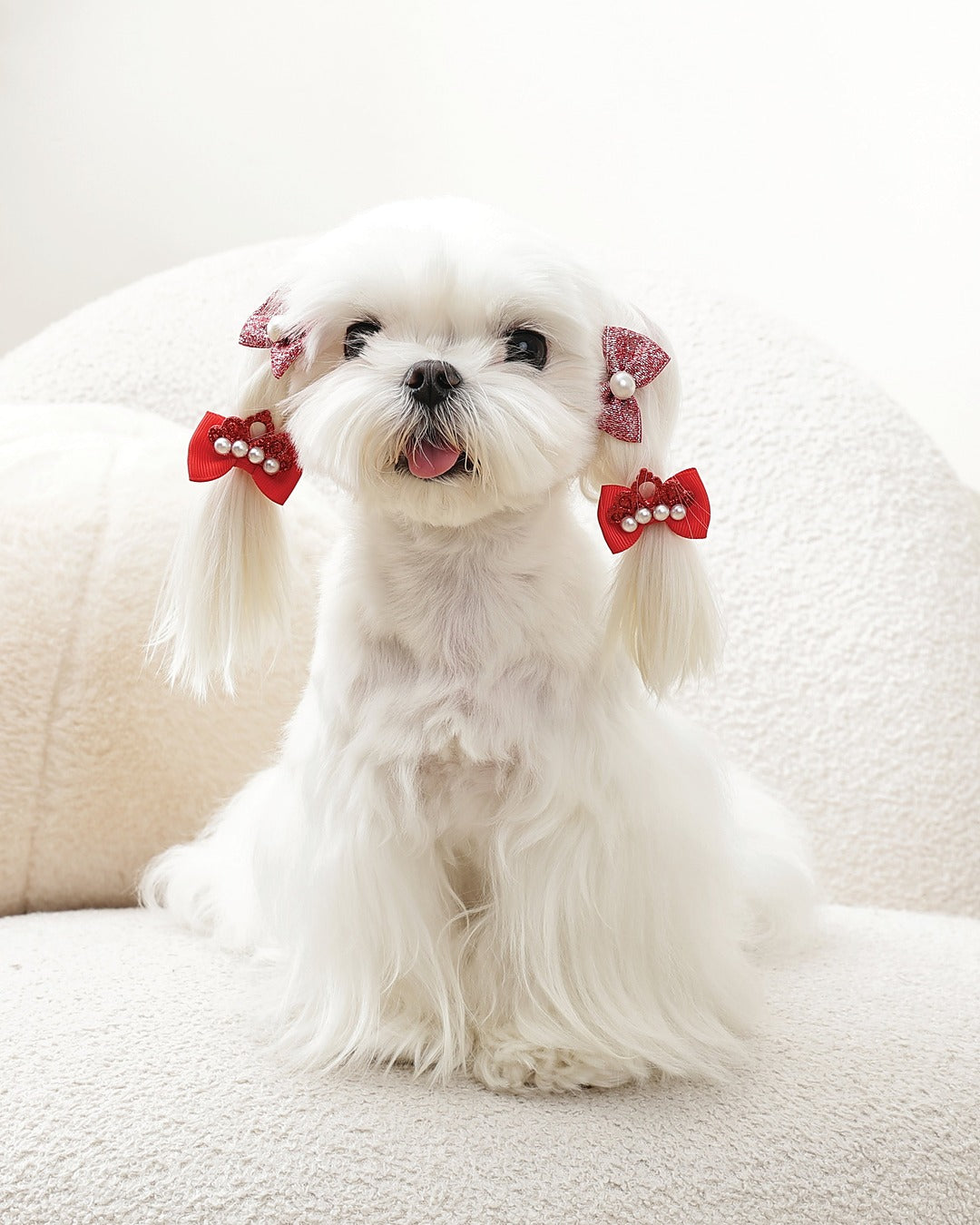 Taç ve Simli Fiyonk Tüy Lastiği 4'lü Kırmızı Kedi ve Küçük Köpek M-Pets GLAM Rubber Band Red