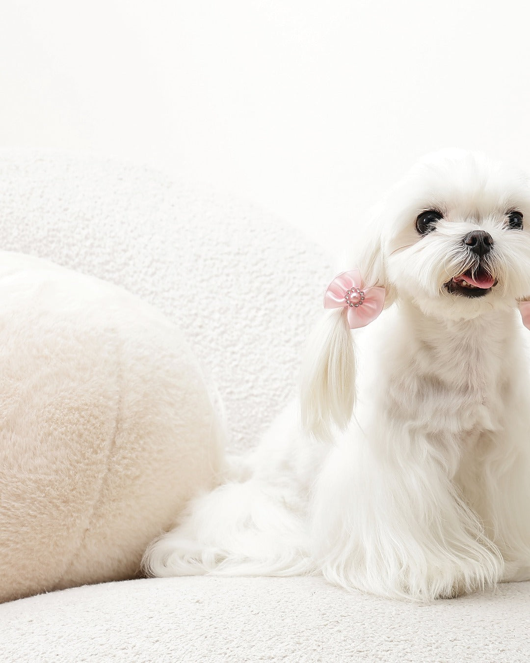 İncili Fiyonk Tüy Lastiği 2'li Pembe Kedi ve Küçük Köpek M-Pets GLAM Rubber Band with Pearl Pink