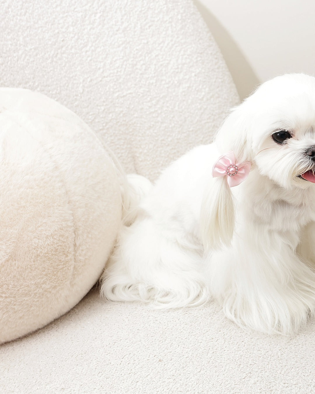 İncili Fiyonk Tüy Lastiği 2'li Pembe Kedi ve Küçük Köpek M-Pets GLAM Rubber Band with Pearl Pink