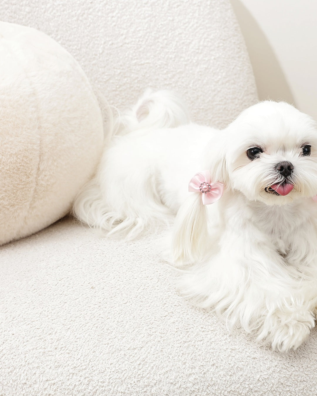 İncili Fiyonk Tüy Lastiği 2'li Pembe Kedi ve Küçük Köpek M-Pets GLAM Rubber Band with Pearl Pink