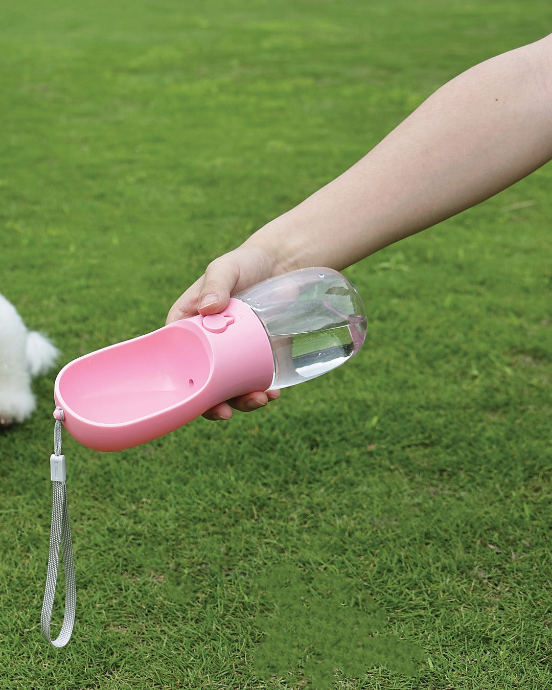 Köpek Seyahat Suluğu 600 ml Mama ve Poşet Bölmeli 3'ü 1 Arada Pembe M-Pets On the Road Pink Bloom