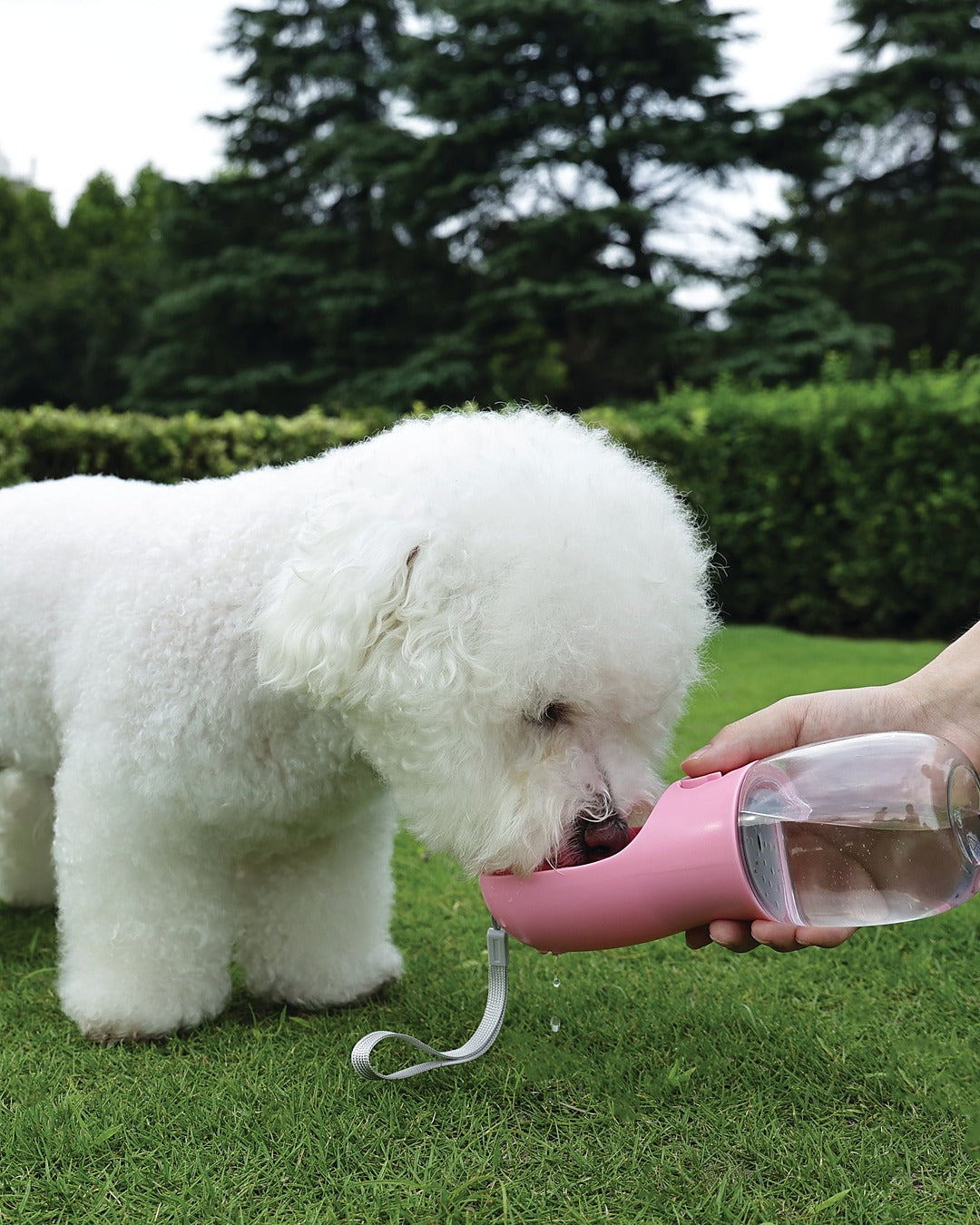Köpek Seyahat Suluğu 600 ml Mama ve Poşet Bölmeli 3'ü 1 Arada Pembe M-Pets On the Road Pink Bloom