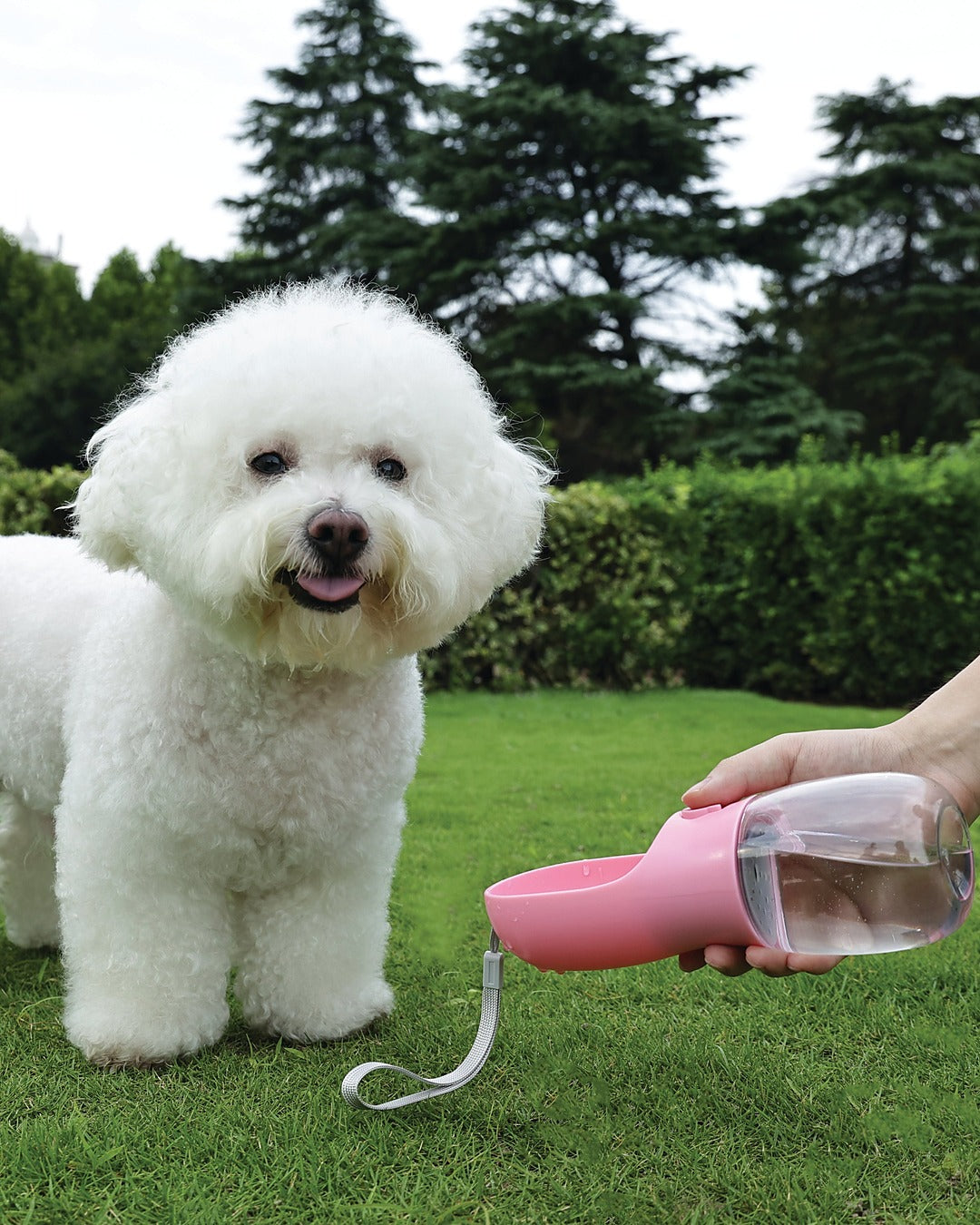 Köpek Seyahat Suluğu 600 ml Mama ve Poşet Bölmeli 3'ü 1 Arada Pembe M-Pets On the Road Pink Bloom