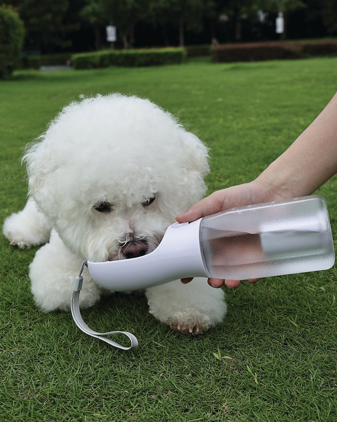 Köpek Seyahat Suluğu 600 ml Mama ve Poşet Bölmeli 3'ü 1 Arada Beyaz M-Pets On the Road White Chalk
