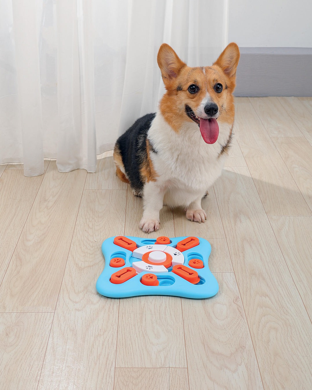 Döner Diskli Kaydırmalı Köpek Zekâ ve Ödül Oyuncağı Seviye 2 Orta M-Pets Brainy Games Copernic