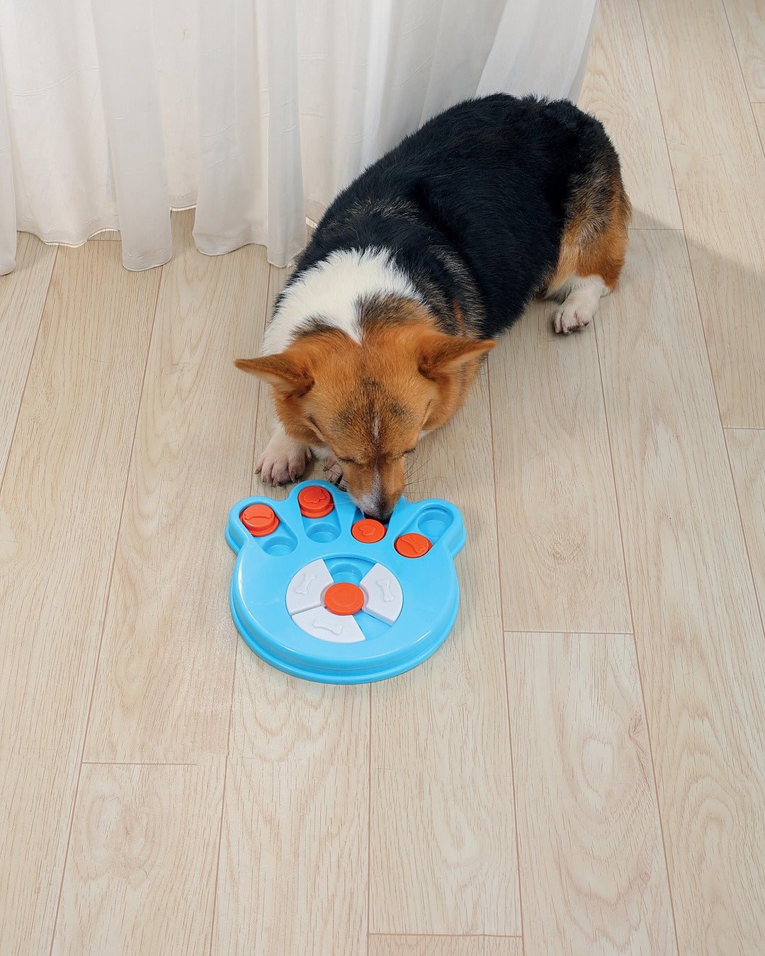 Pati Şeklinde Döner Diskli Köpek Zekâ ve Ödül Oyuncağı Seviye 1 Kolay M-Pets Brainy Games Darwin