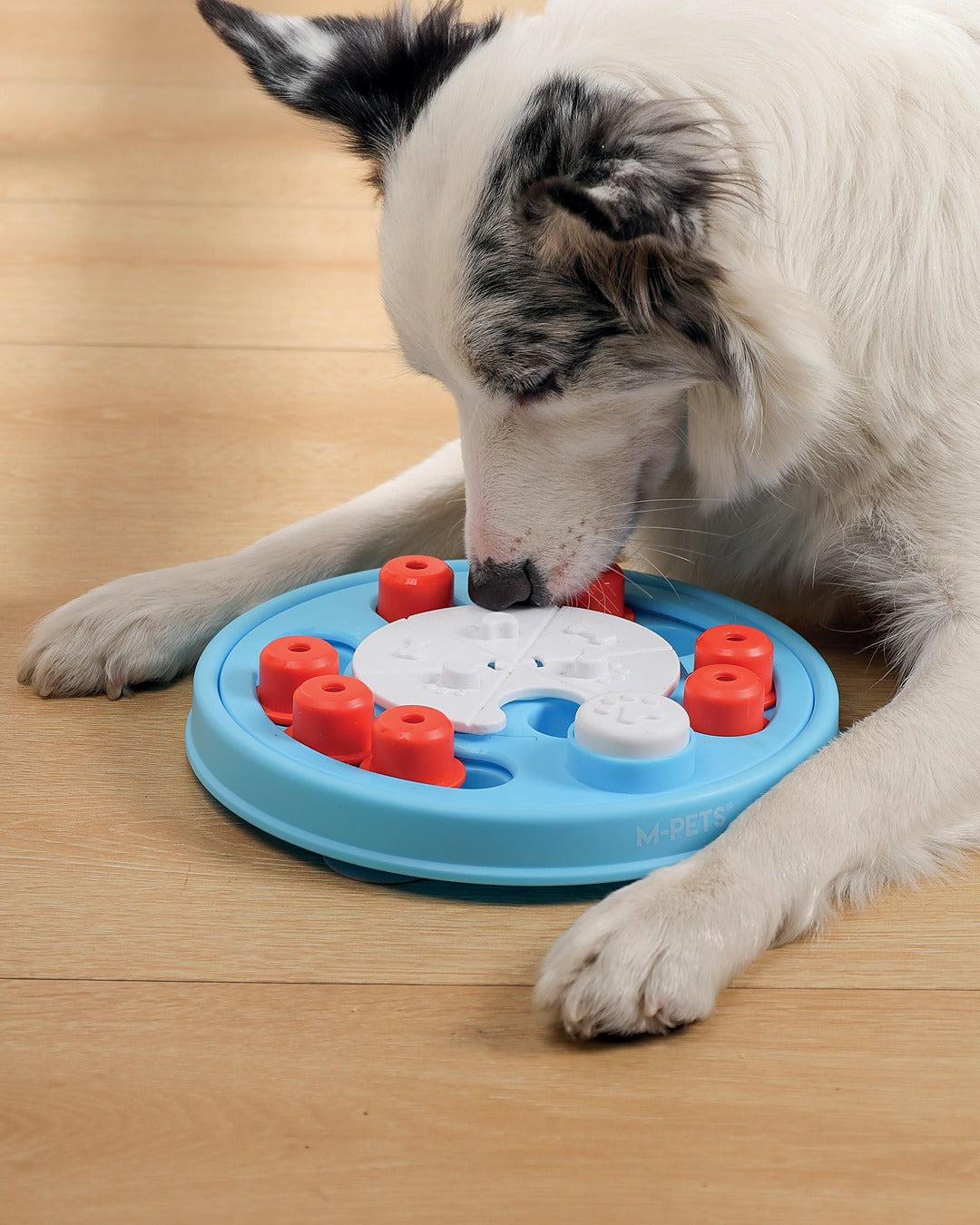 Kaydırmalı Bölmeli Köpek Zekâ ve Ödül Oyuncağı Seviye 2 Orta M-Pets Brainy Games Da Vinci