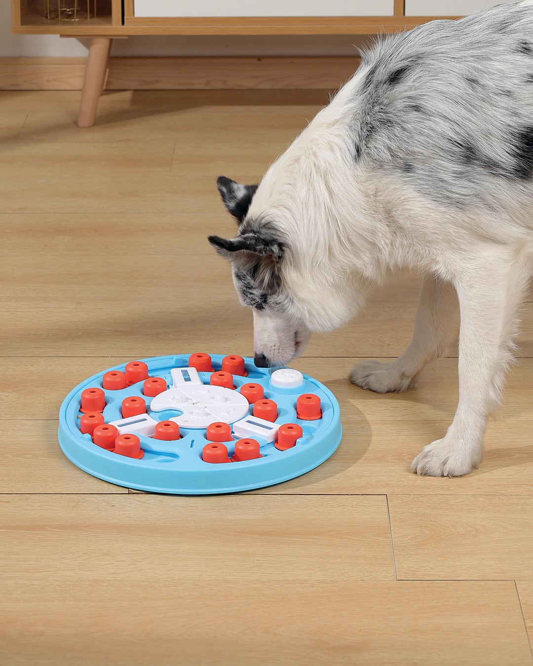 Kaydırmalı Bölmeli Köpek Zekâ ve Ödül Oyuncağı Seviye 3 Zor M-Pets Brainy Games Da Vinci