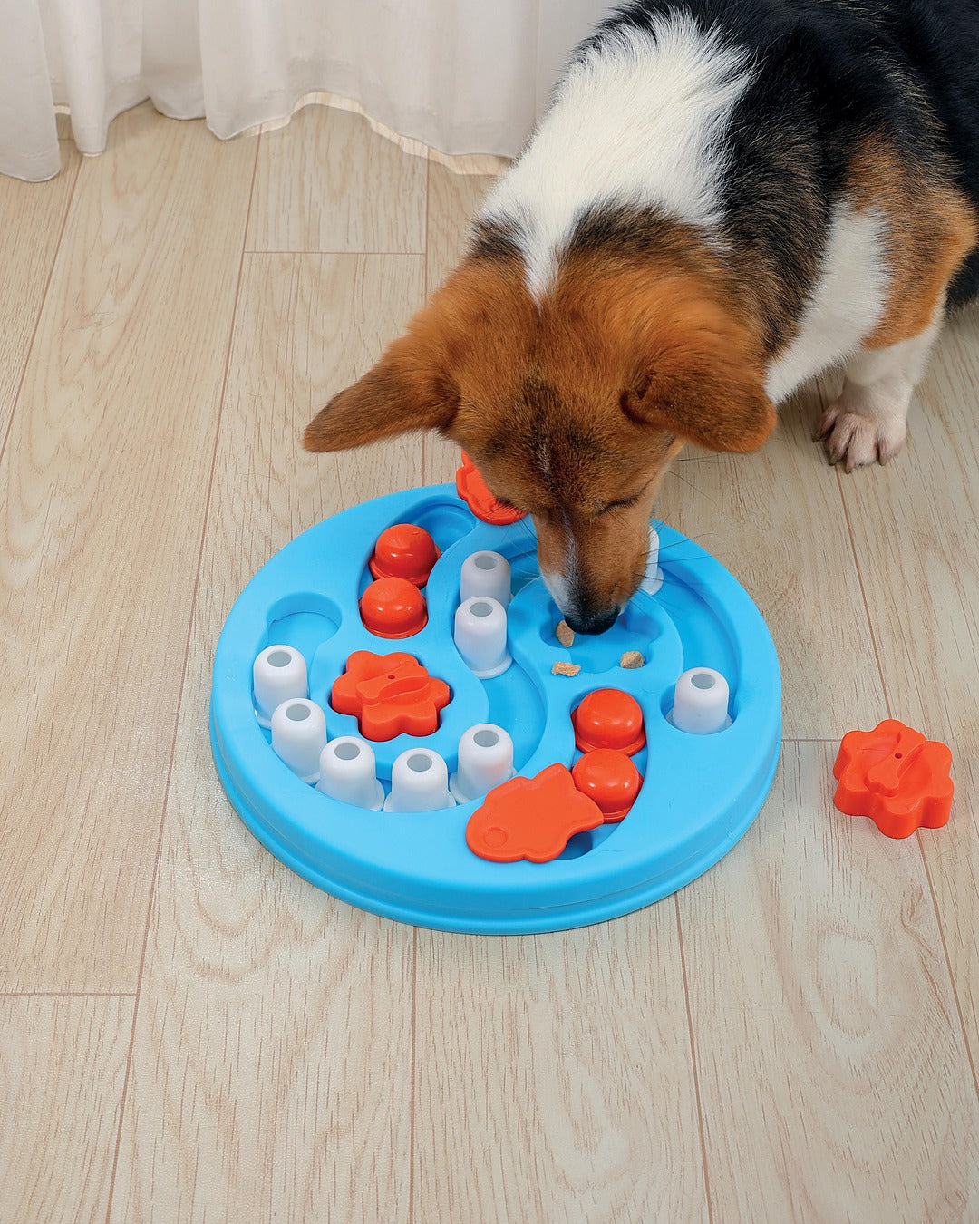 Kıvrımlı Yollu Kaydırmalı Köpek Zekâ ve Ödül Oyuncağı Seviye 3 Zor M-Pets Brainy Games Einstein