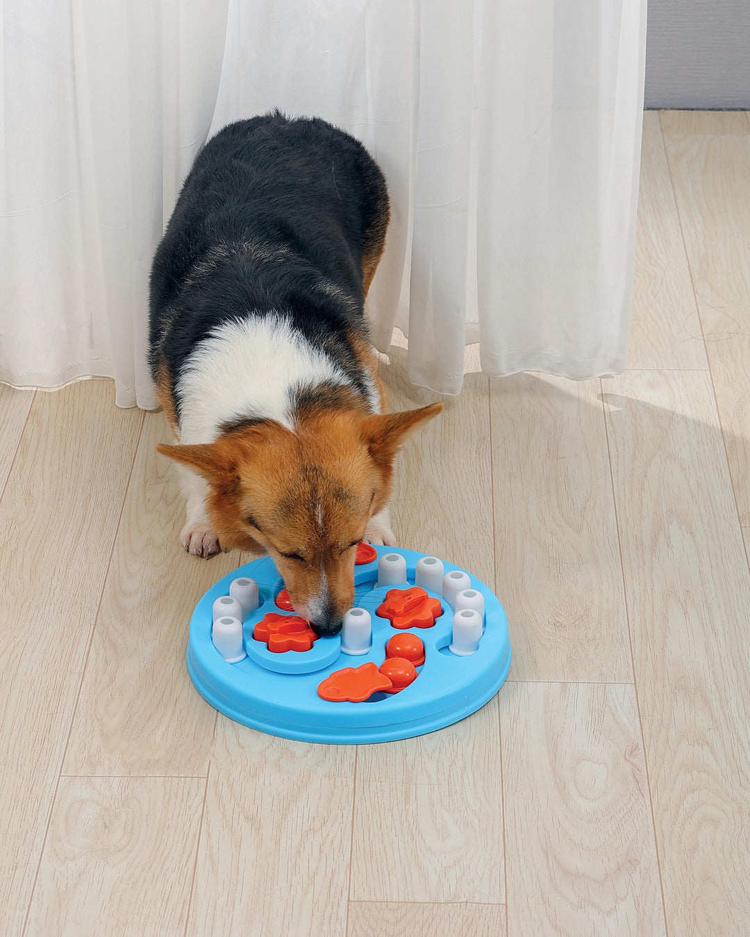Kıvrımlı Yollu Kaydırmalı Köpek Zekâ ve Ödül Oyuncağı Seviye 3 Zor M-Pets Brainy Games Einstein