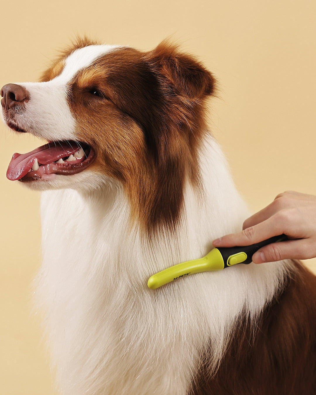 Click & Groom Değiştirilebilir Başlıklı Kavisli Metal Dişli Tüy Toplama Fırçası Kedi ve Köpek M-Pets Click and Groom Curved Brush